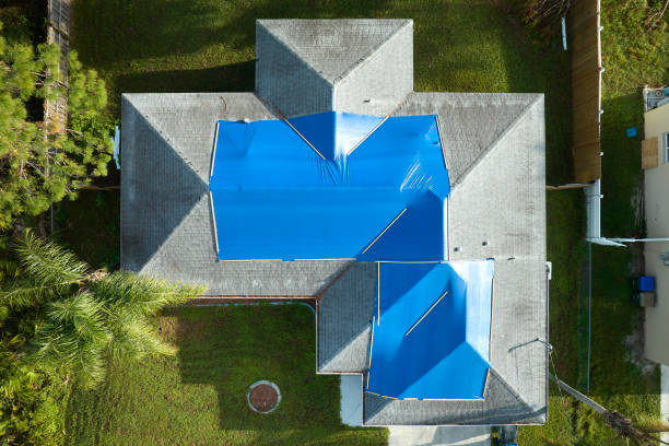 Best Skylight Installation and Repair  in South Whitley, IN