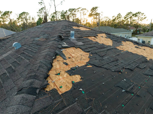 Best Storm Damage Roof Repair  in South Whitley, IN