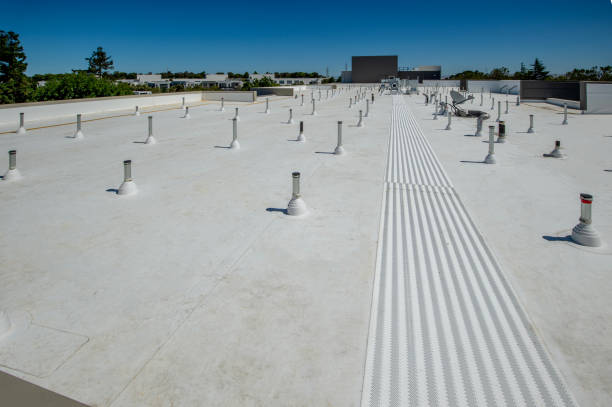 Best Roof Leak Repair  in South Whitley, IN