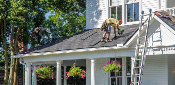 Best Roof Moss and Algae Removal  in South Whitley, IN